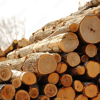 国産の木材を循環させる